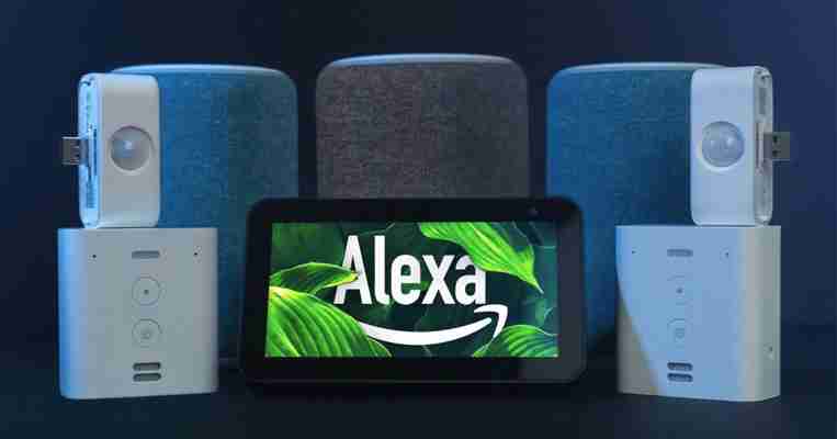 Alexa, ¿qué Amazon Echo me compro?